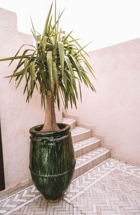 Hotel Oasis Dakhla Eksteriør billede
